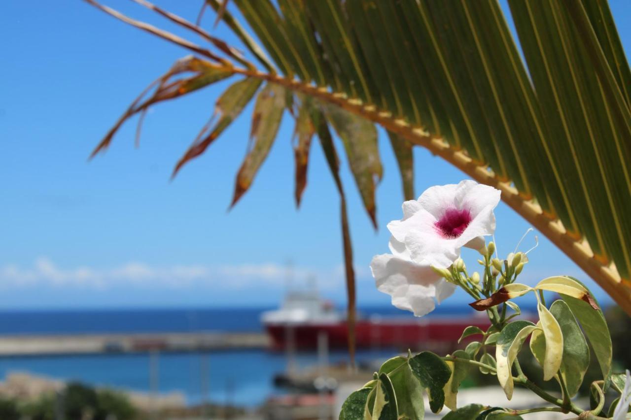 Terraza Del Atlantico, Un Oasis En La Ciudad Apartman Santa Cruz de Tenerife Kültér fotó