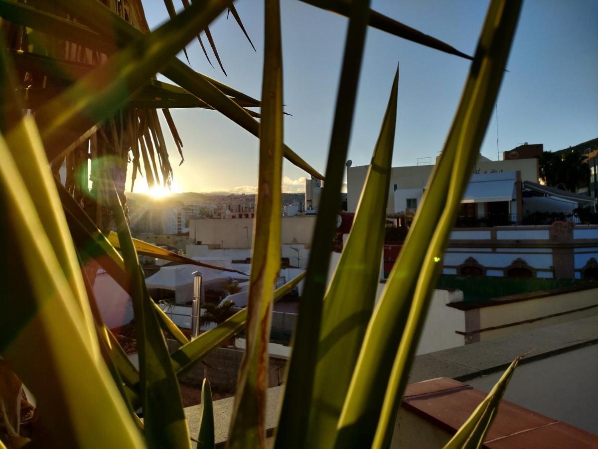 Terraza Del Atlantico, Un Oasis En La Ciudad Apartman Santa Cruz de Tenerife Kültér fotó